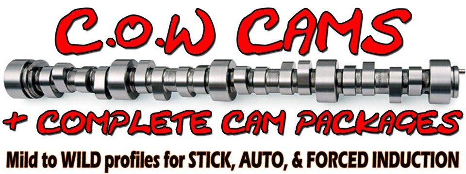 C6 C.o.W. CAMS from Mild to WILD!